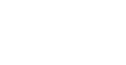 partners who work with Icebook